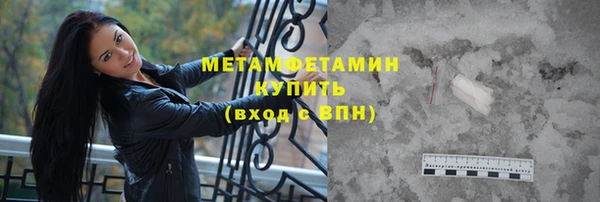 прущие грибы Вяземский