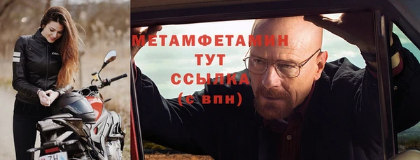 прущие грибы Вяземский