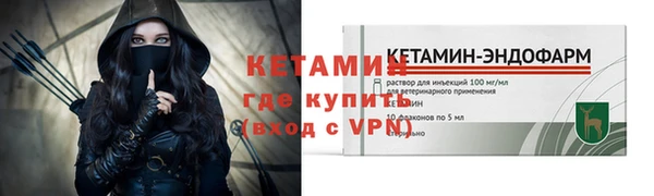 прущие грибы Вяземский