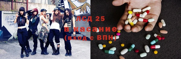 прущие грибы Вяземский