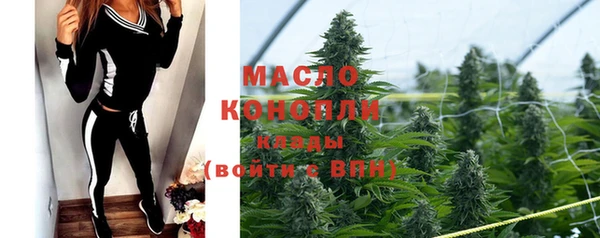 прущие грибы Вяземский