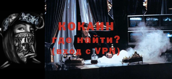 прущие грибы Вяземский