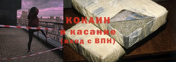 прущие грибы Вяземский