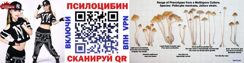 Псилоцибиновые грибы мицелий  где купить наркотик  Липецк 